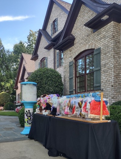 Outdoor bear stuffing birthday party in Cary NC